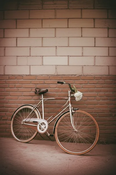 Illustration halted - Image 1