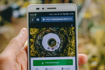 Illustration pic - Image 2