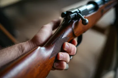 Illustration hand - Image 1