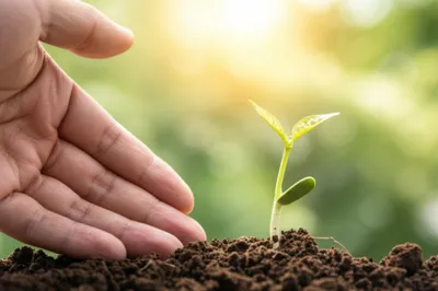 Illustration prodding - Image 1