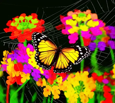 Illustration ensnared - Image 1