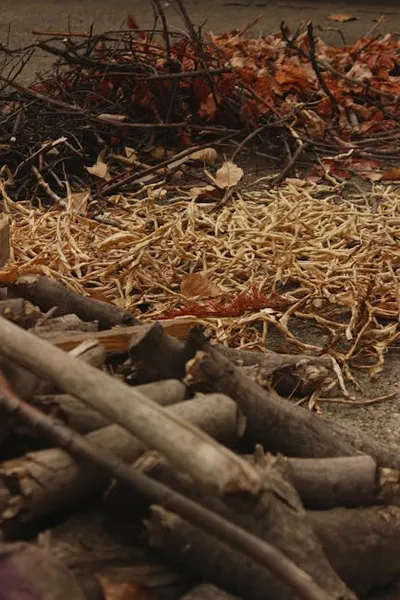 Illustration swept - Image 2