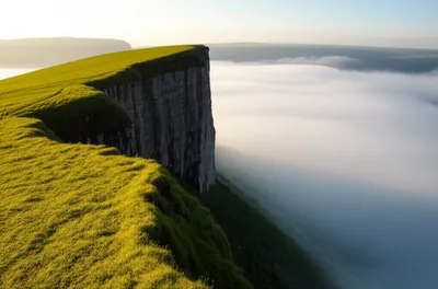 Illustration brews - Image 1