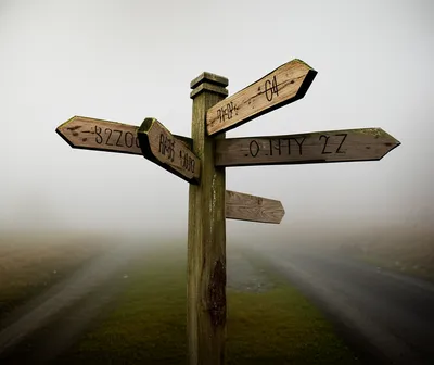 Illustration wised - Image 1