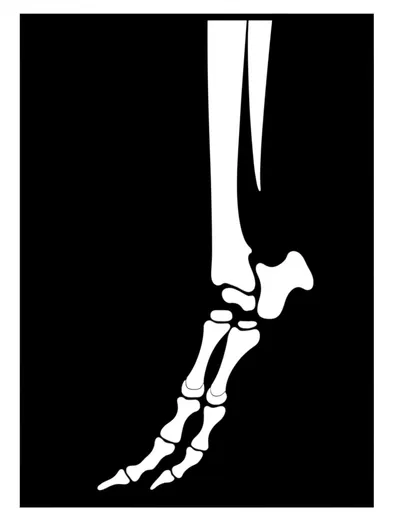 Illustration feet - Image 1