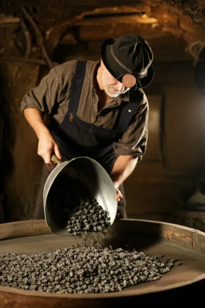 Illustration limps - Image 1