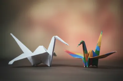 Illustration folding - Image 1