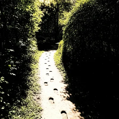 Illustration strayed - Image 1