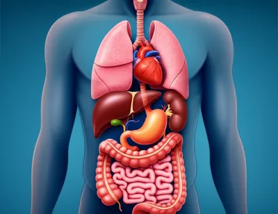 Illustration insides - Image 1