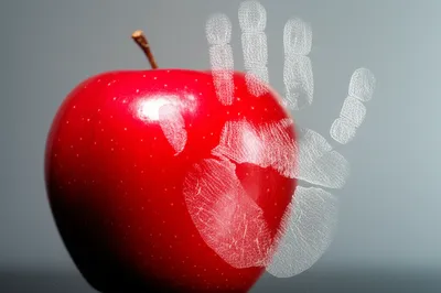 Illustration transferred - Image 1