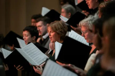 Illustration organises - Image 1