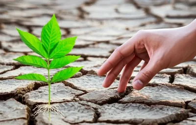 Illustration reclaim - Image 1