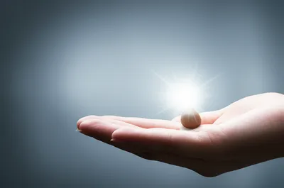 Illustration will - Image 1