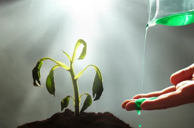 Illustration antidote - Image 1