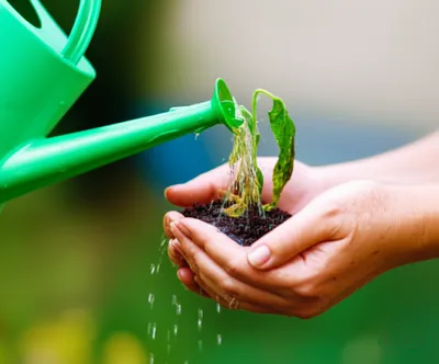 Illustration attending - Image 1