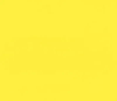 Illustration canary - Image 1