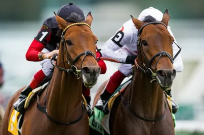 Illustration noses - Image 1