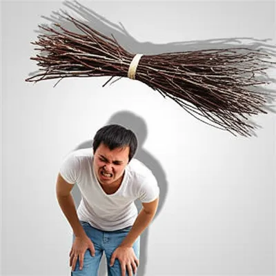 Illustration birched - Image 1