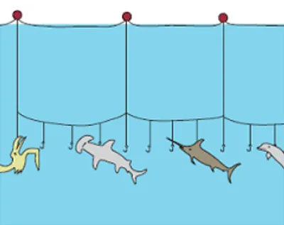 Illustration trawl - Image 3