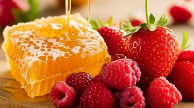 Illustration dulcet - Image 1