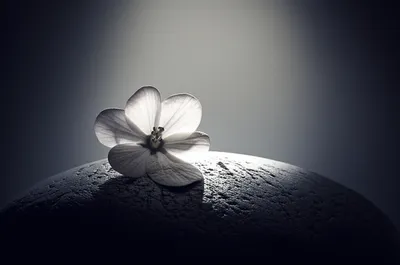 Illustration commemorate