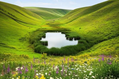 Hình ảnh minh họa swags - Ảnh 1