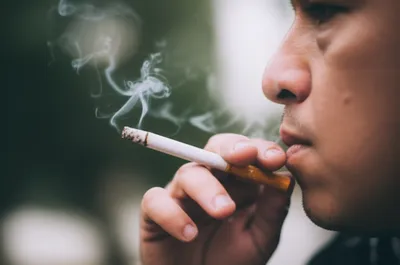 Illustration smoked - Image 1