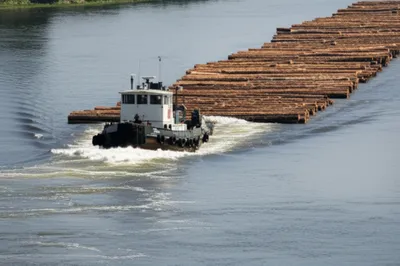 Illustration tug - Image 1