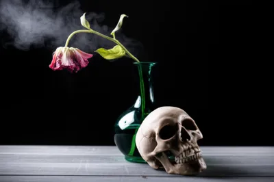 Illustration poison - Image 1