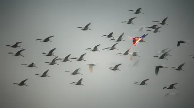 Illustration extraordinary - Image 1