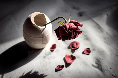 Illustration expired - Image 1