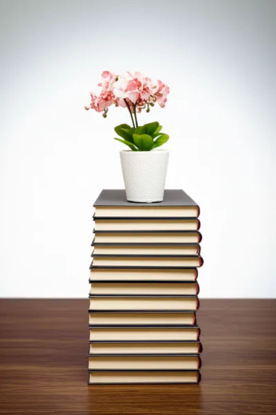 Illustration orderly - Image 1