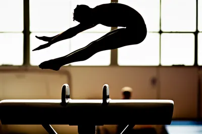 Illustration vaulting - Image 1