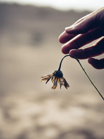 Illustration pricks - Image 1