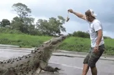 Illustration foolhardy - Image 2