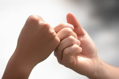 Illustration joint - Image 1