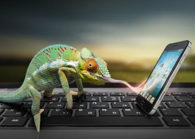 Illustration ports - Image 1