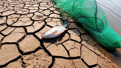 Illustration floundered