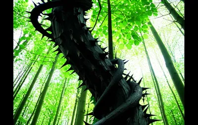 Illustration prejudices - Image 1