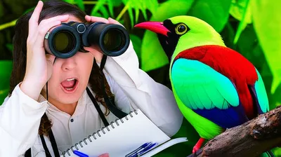 Illustration ticks - Image 1