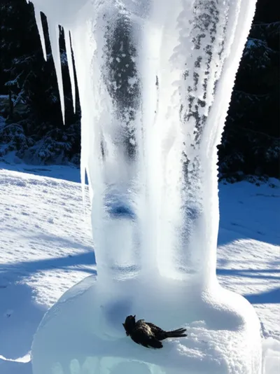 Illustration unfeeling