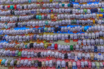 Illustration rows - Image 2