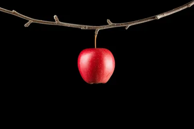 Illustration dangling - Image 1