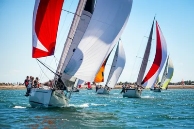 Illustration regatta - Image 1