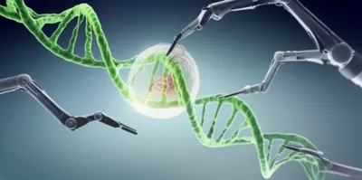 Illustration construct - Image 1