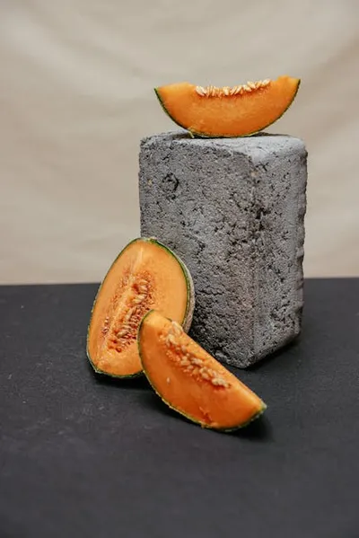 Illustration melons - Image 2