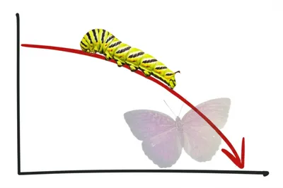 Illustration conversion - Image 1