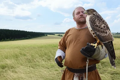 Illustration falconers - Image 1