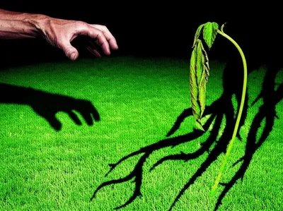 Illustration curse - Image 1