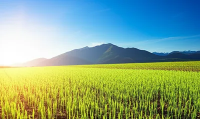 Illustration expectations - Image 1